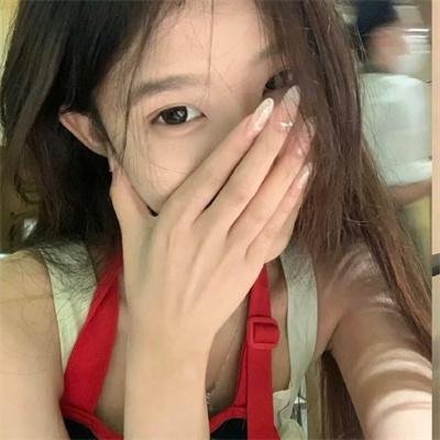 科搜研之女第24季